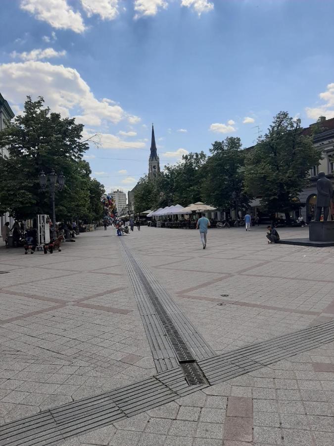 Apartmani Sara Novi Sad Buitenkant foto