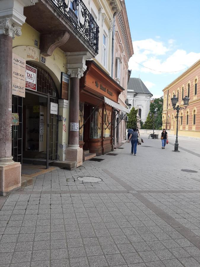 Apartmani Sara Novi Sad Buitenkant foto